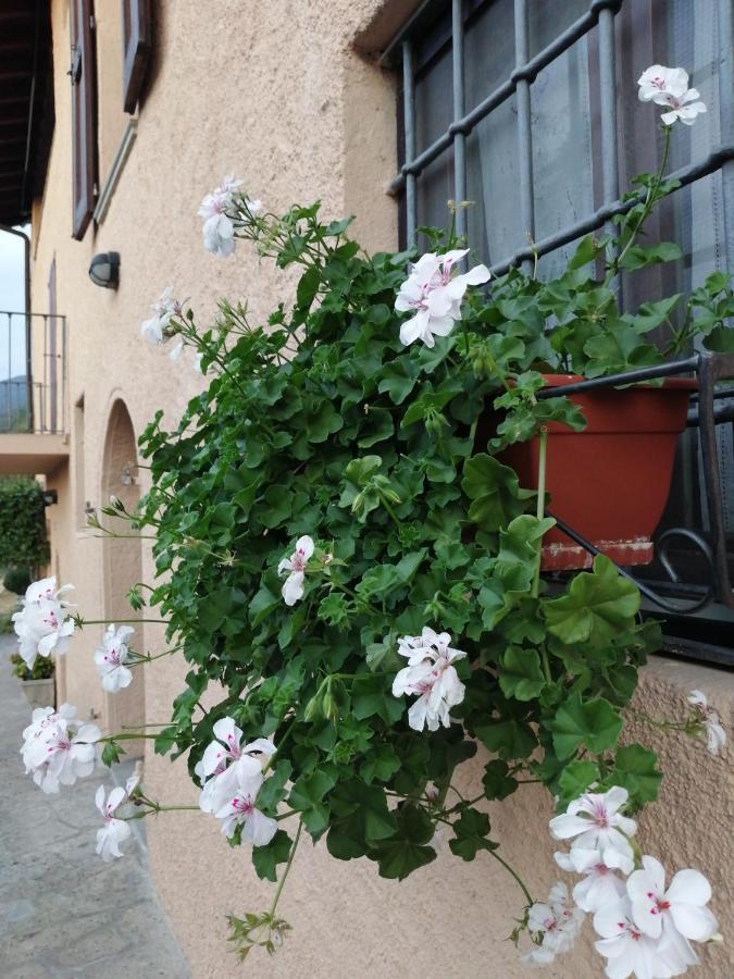 إيزِيو B&B Ronco Degli Ulivi المظهر الخارجي الصورة