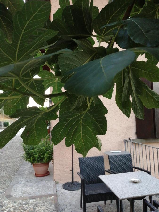 إيزِيو B&B Ronco Degli Ulivi المظهر الخارجي الصورة